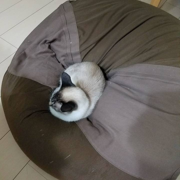 Ba3d68ae bf25 44de a170 01580768efb4