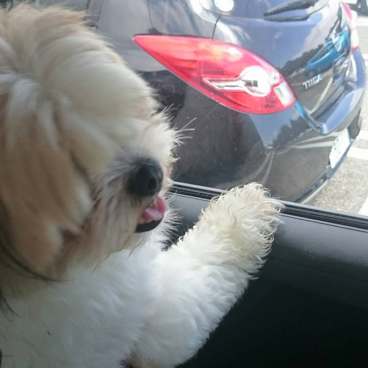 Ba3dae95 1eec 41c4 bd0b dcb62de1631b