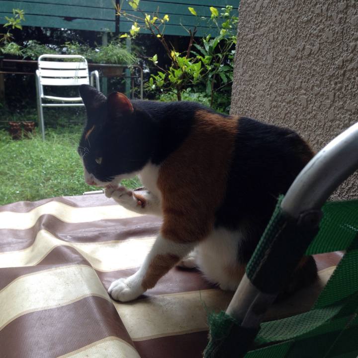 Ba3daf1f 8085 44ed ac52 173fe25f008a