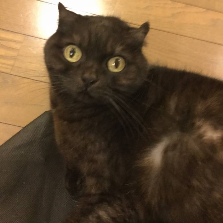 Ba3dc5b2 da0f 4196 8c20 e9572579251b