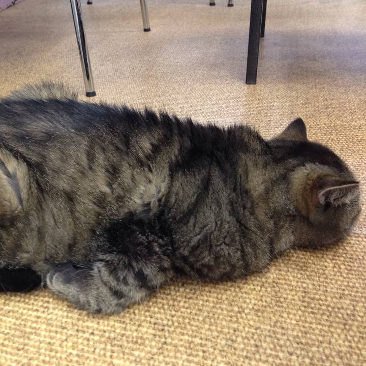 Ba3dd5ff 1093 42b4 a2e1 7e9b99cbedf4