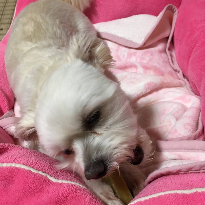 Ba3df01e a329 4d22 b3a0 590f60519fc6