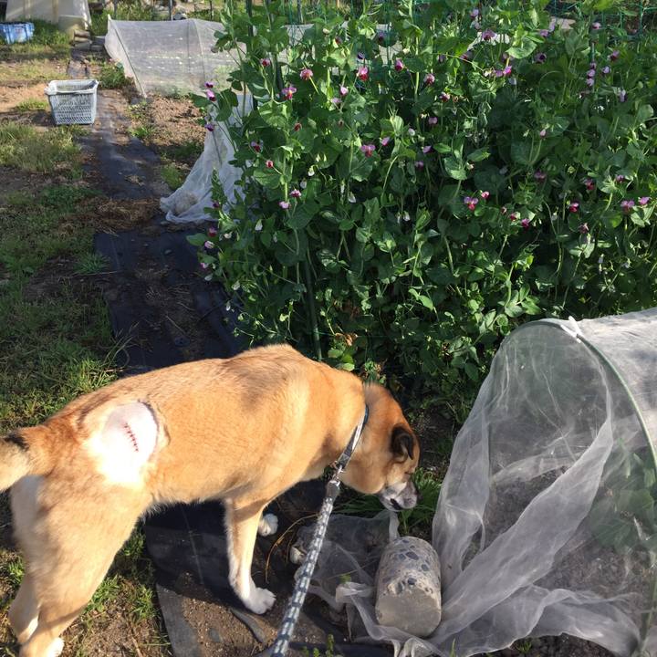 Ba3df4fa 331f 47ae 9e4e 5c29e0762741