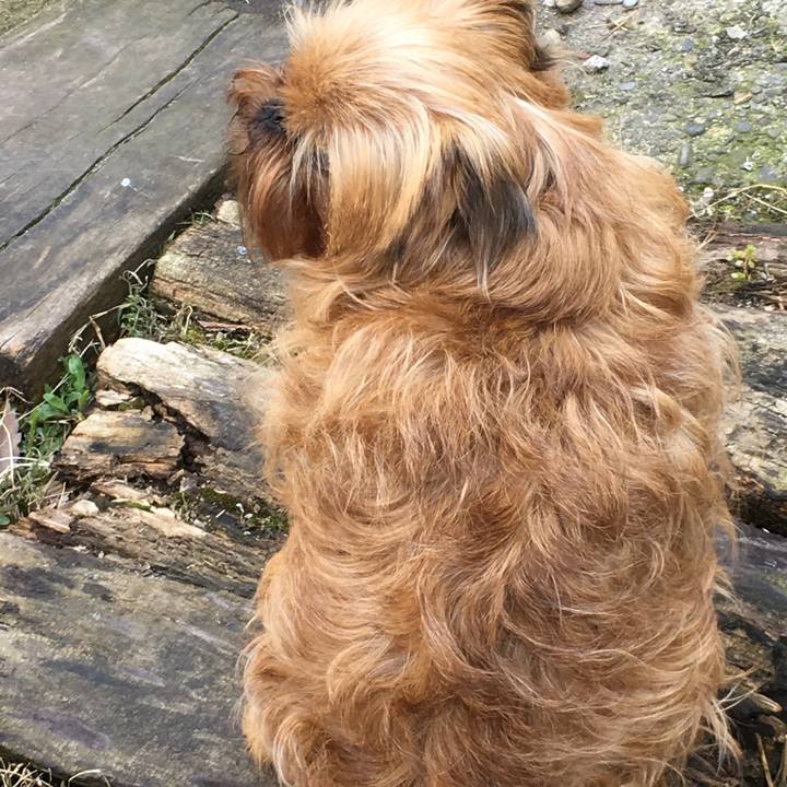 Ba3f5d70 1099 4803 94e6 676d2831d6fc