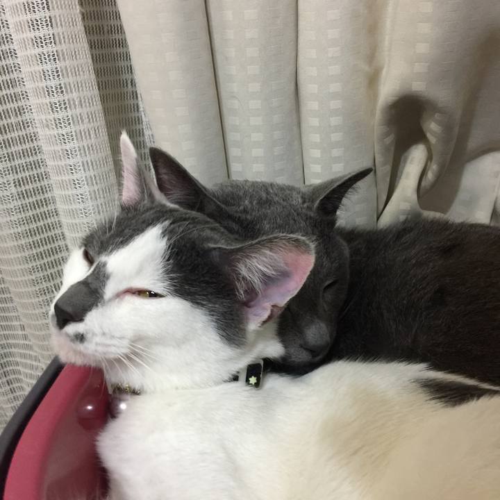 Ba3f6548 dd7a 4ab5 97b1 7e56c06bfbb3