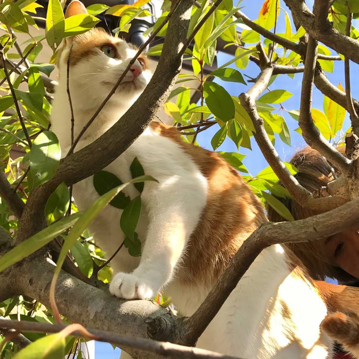 Ba3fb487 c64f 4150 b2d2 a0b14078357f