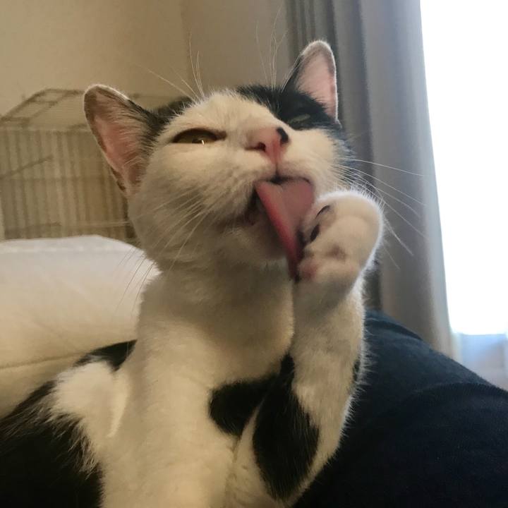 Ba3fe362 deeb 47ca 9e8d 8190ccb5384d