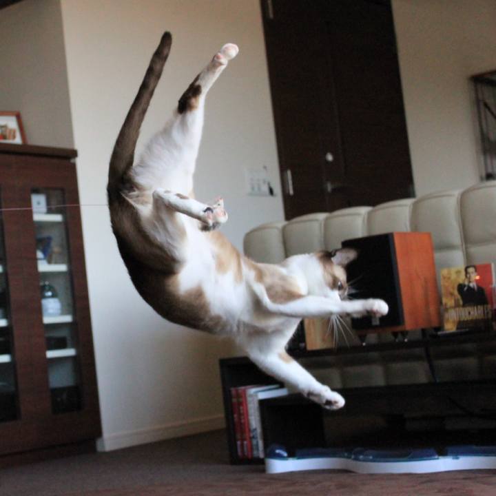 Ba410626 3be0 4e20 b06e 3440e3e30065