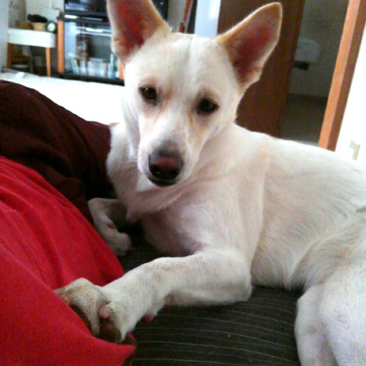 Ba4128ab b0f5 4699 a005 b0802a22a396