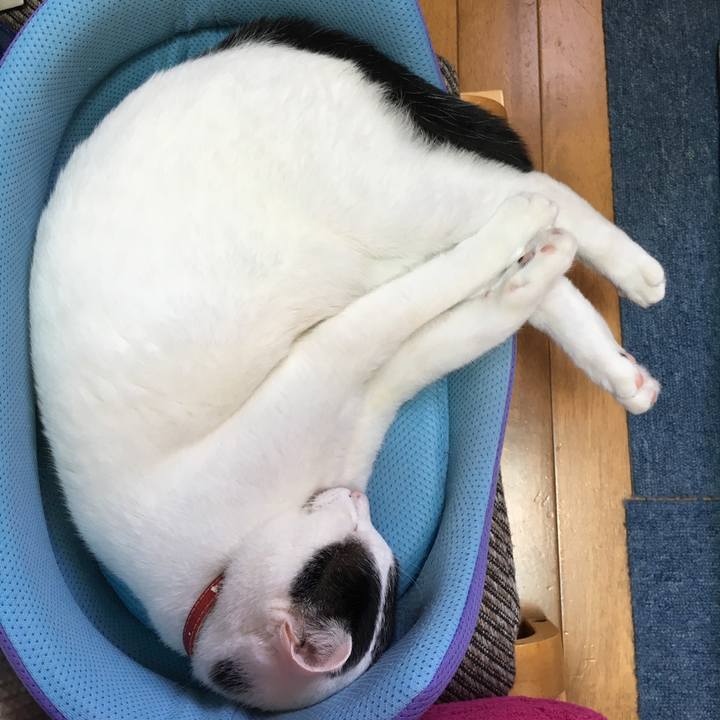 Ba418df4 1c1a 4587 945d 15cbb4756f53