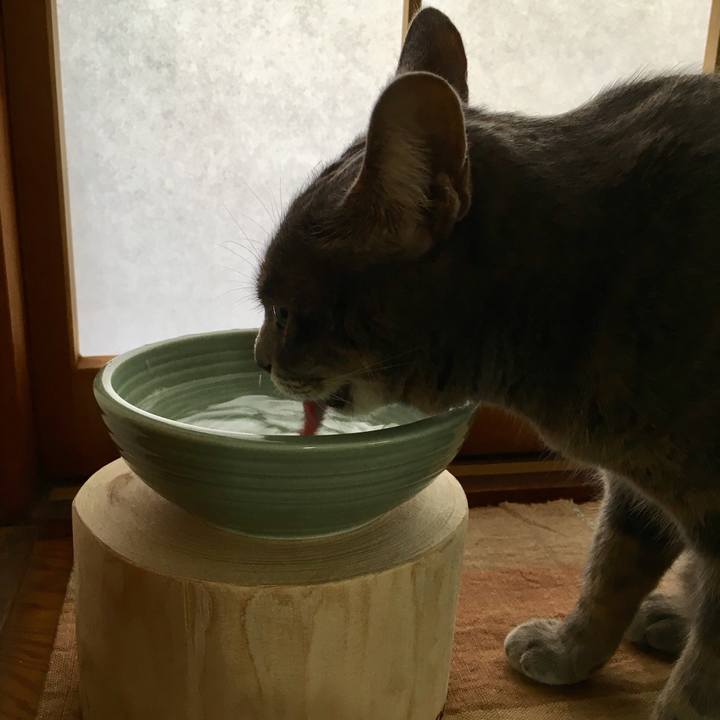 Ba419013 4a1e 4e59 b35c de660552951d