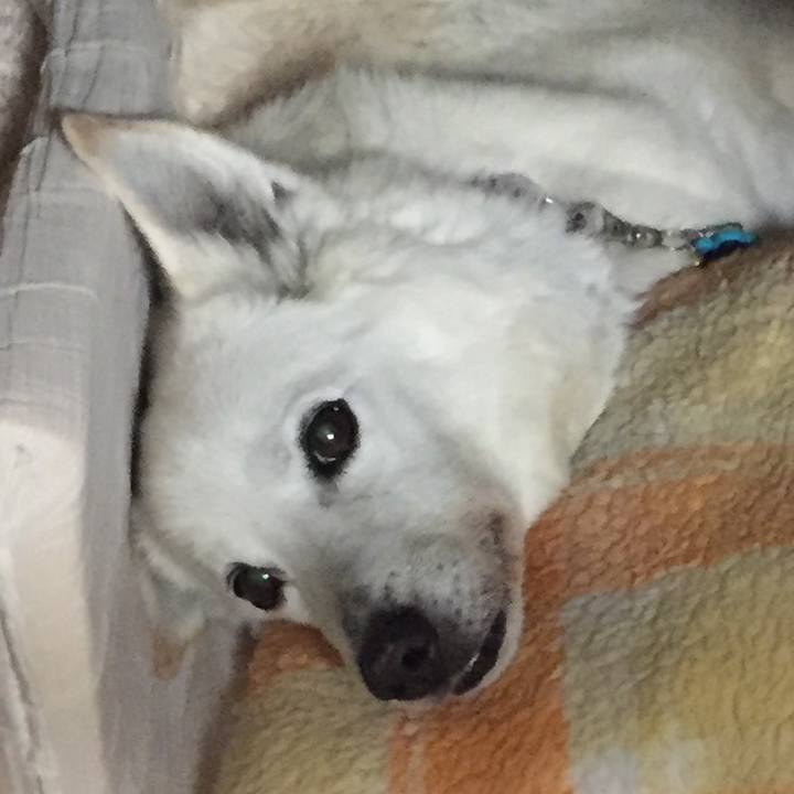 Ba419a9e 009f 41f6 b107 5ed36623c559