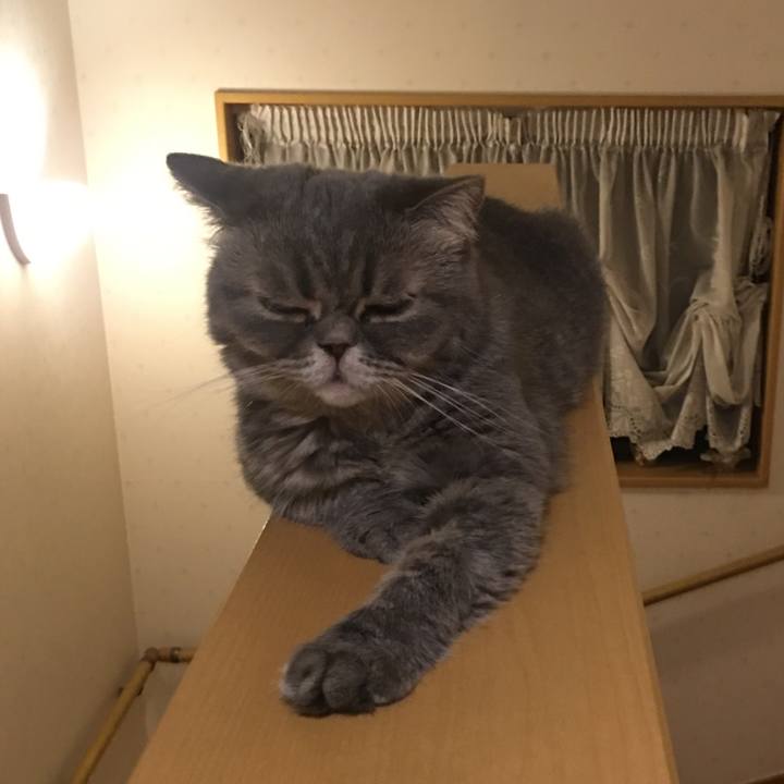 Ba426923 7f60 4b87 95f1 f7893aecb49a