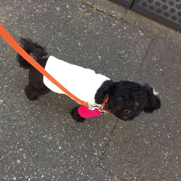 Ba431c12 d58a 46a3 96bb 02fe16233cd8