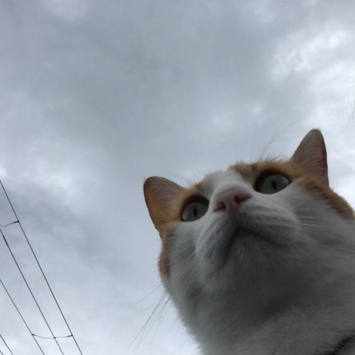 Ba431f1b 0220 45ce b78a 9c94fb62d6a8