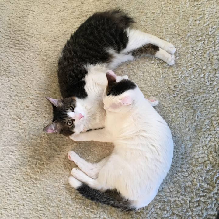 Ba432810 f36e 4aa9 8172 77382f79993d