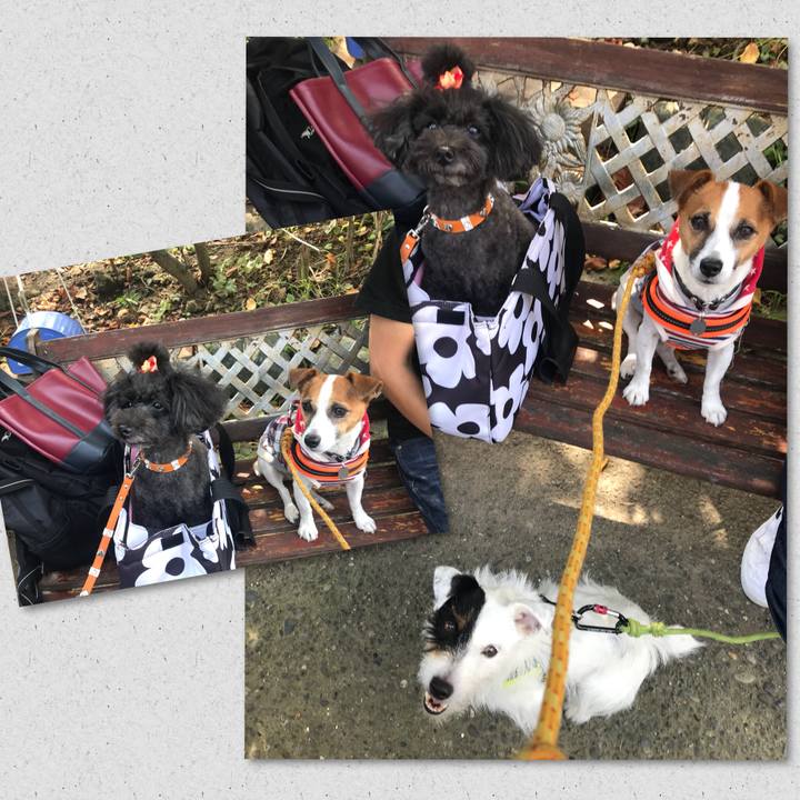 Ba43683c 8a3f 4b8e 9842 c14beecbac6c