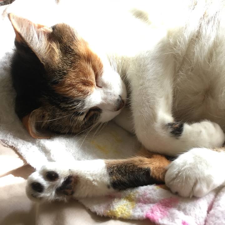 Ba43e0a4 5f81 4631 a89e af91bd09aa6b