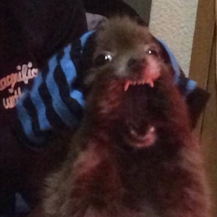 Ba43f4c2 da82 40aa 8072 912eae1cfb38