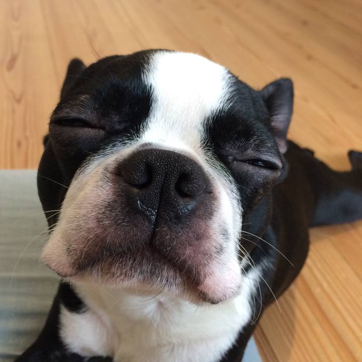 Ba447548 bb19 40dd 921c 0b01a8dfa324