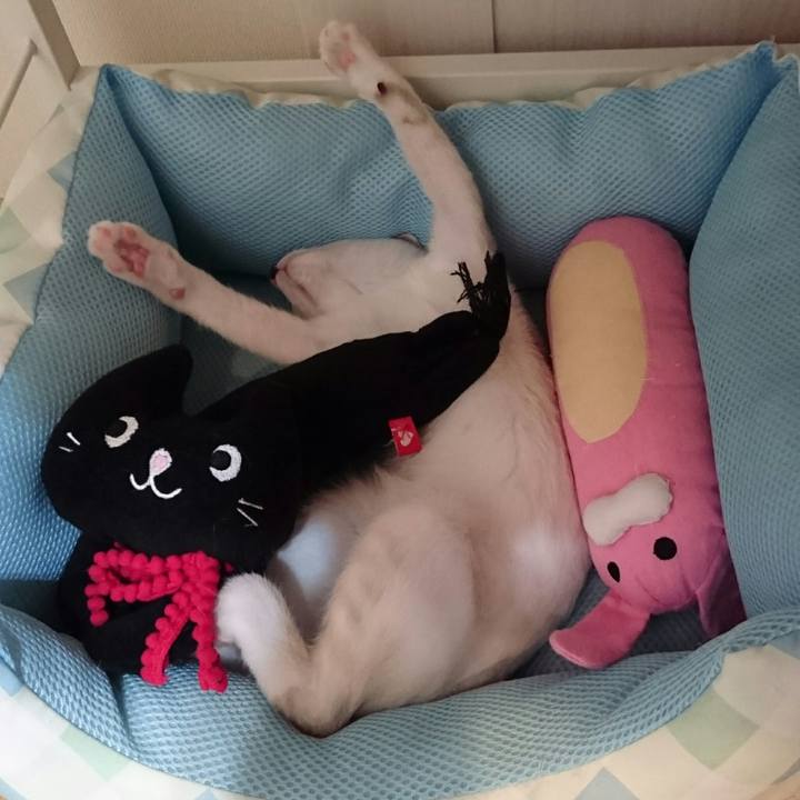 Ba4494ec c235 4364 984a fc21eba1dc21