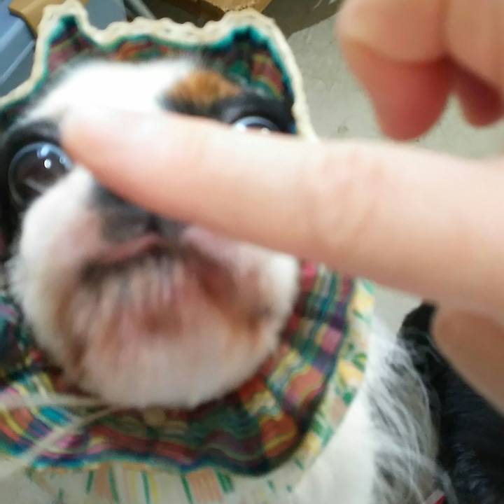 Ba44d72e 7eab 4366 b1dd fd5bf2119669