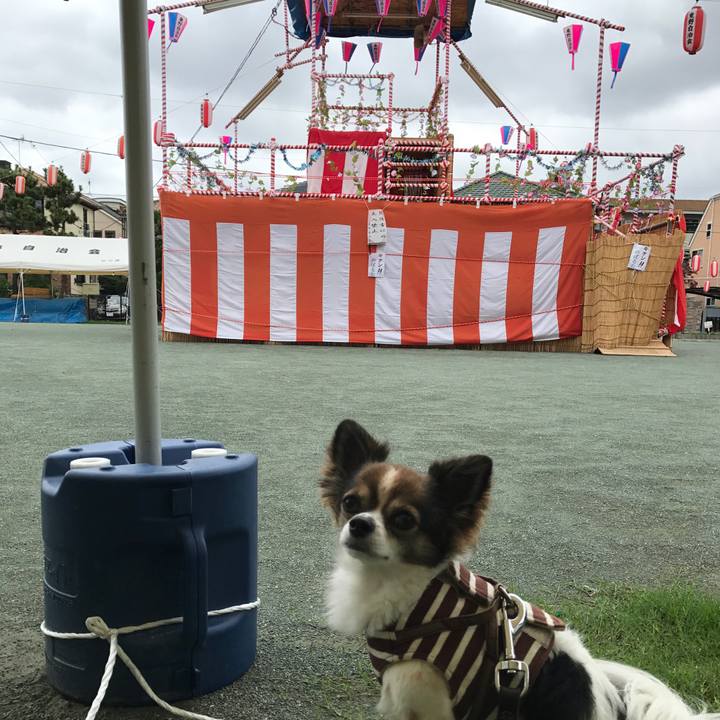 Ba452547 8c53 403d a467 9103fee4b5f1