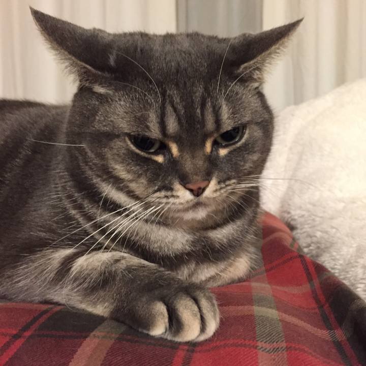 Ba45f405 c112 4bfa b78b 8cd34042c34c