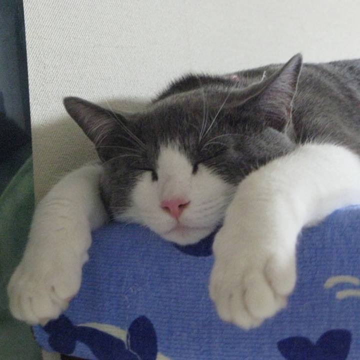 Ba464899 d0b9 4754 bccd a7d6eea9297a