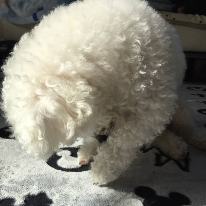 Ba46bde1 b549 45e5 933b 2d54f3d367a0