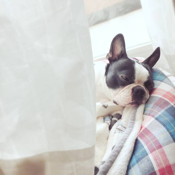 Ba478cca 8111 4286 9a25 62d7ca08dfad