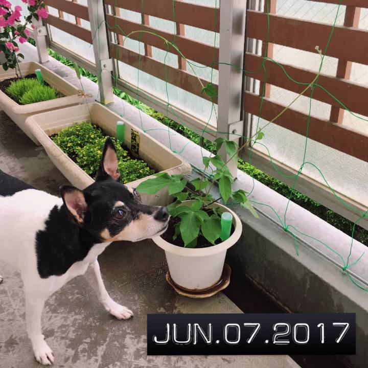 Ba479977 07b7 4bc2 961d d7796b74965f