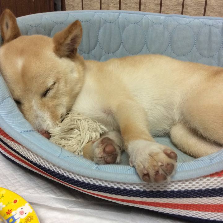 Ba47cd12 fcdd 4264 8dc2 ec5df7b6d3a1