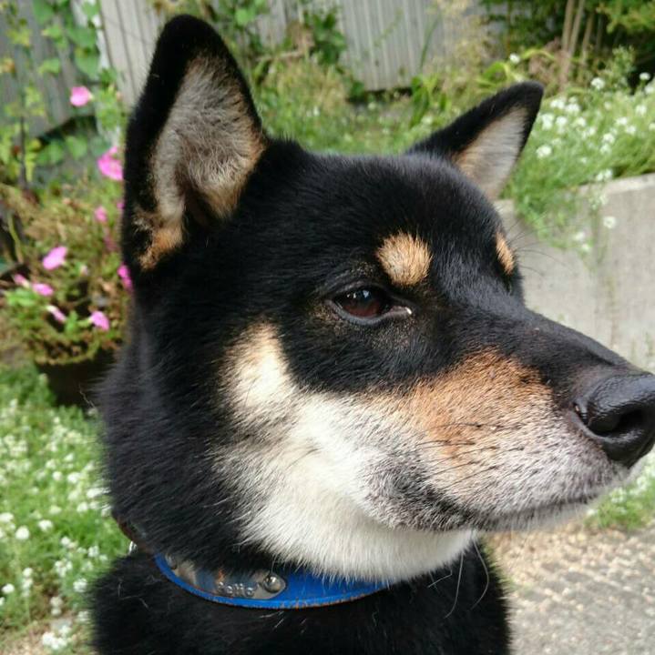 Ba47f79a 520d 4231 a44c aa358f8e3191