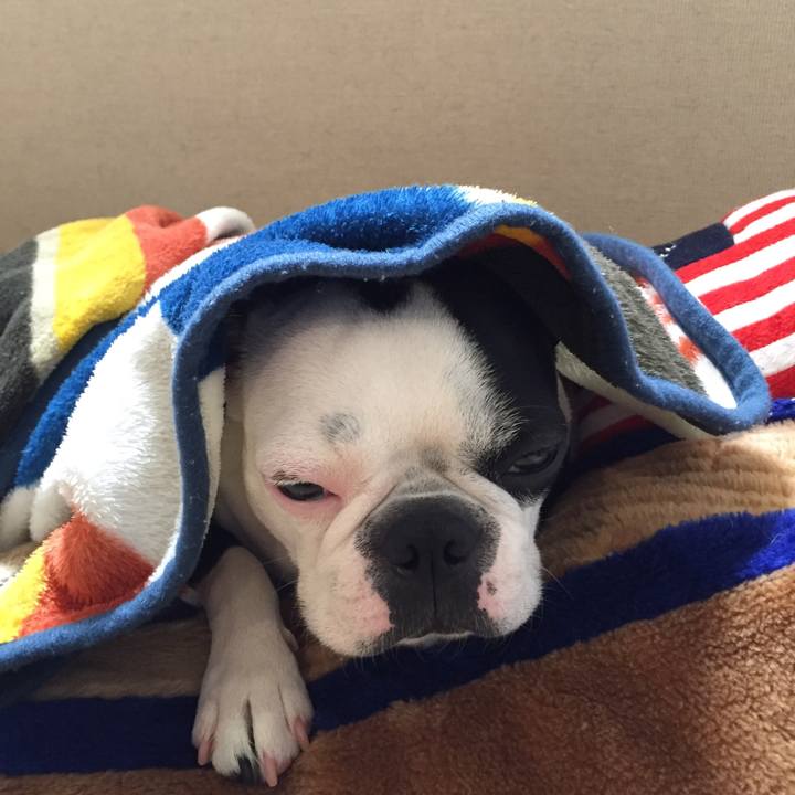 Ba48316e 2d42 41a9 ae0c 2aee7bc0019d