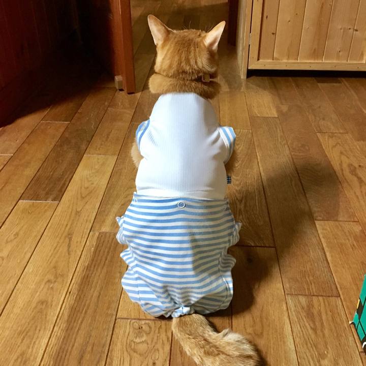 Ba496533 1cae 407b 9297 766387bb78b9