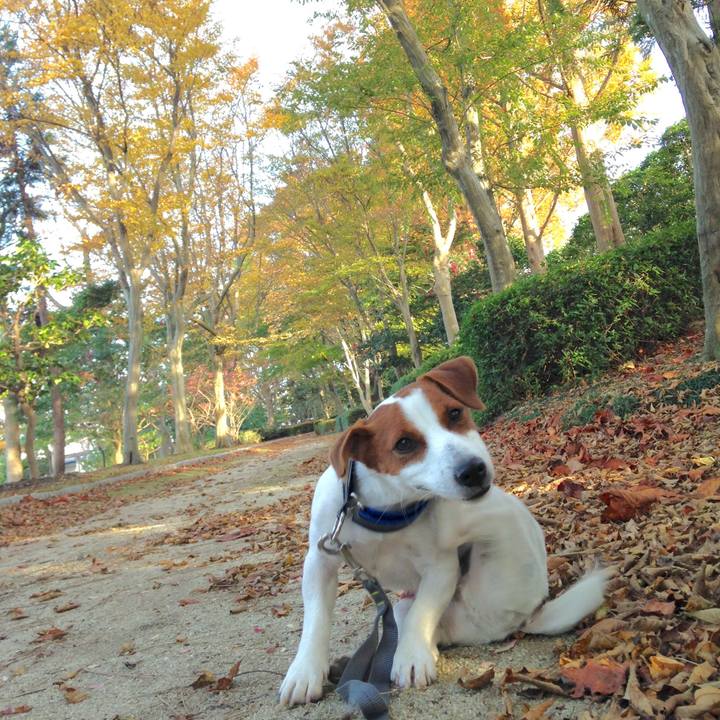 Ba49df72 3322 4a00 84bc 27c233935d10