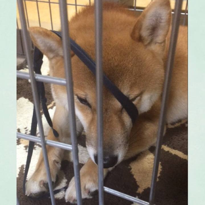 Ba49fb78 371c 46c8 8ce9 63c89128b3f3