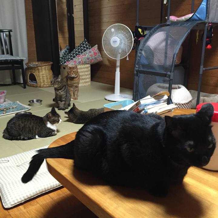 Ba4a0719 dfc3 4dda 9bca e3867e1e7768