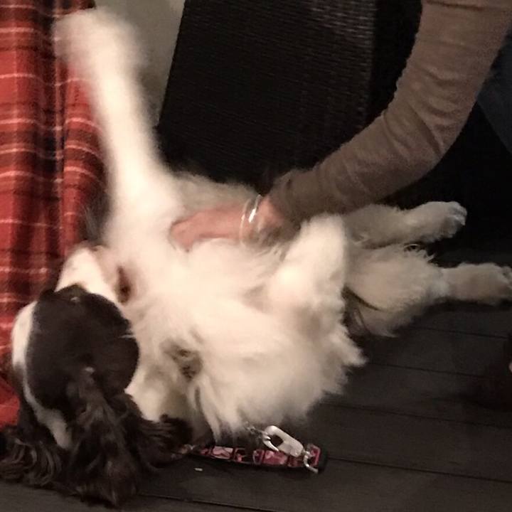 Ba4a6d79 5bed 44c7 98b2 8e5ca9d3119d