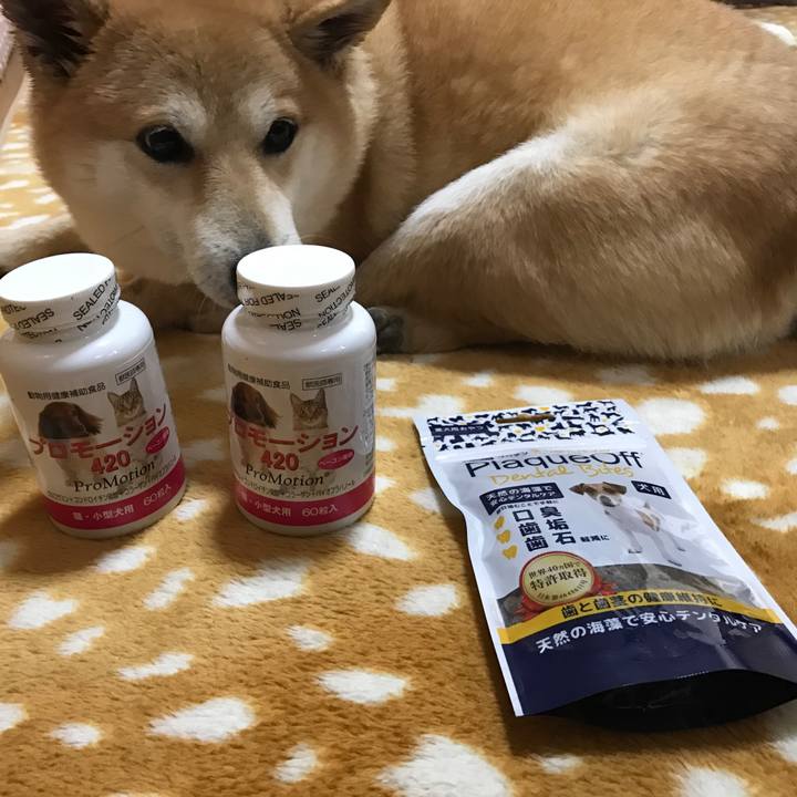 Ba4bc4aa 2f2a 44ec bc60 3d0e8f837656