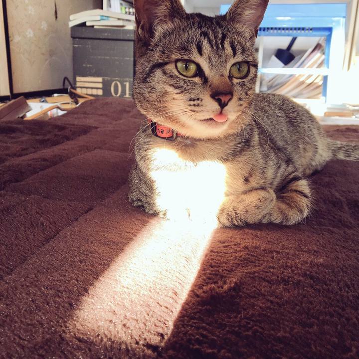 Ba4be361 6e31 4d24 9f3f 9d7d30c6b8f5