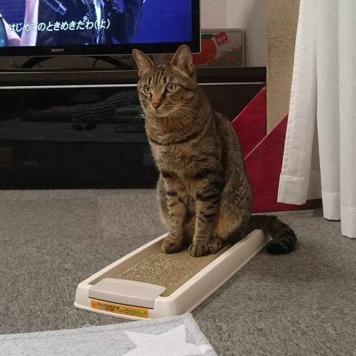 Ba4c85bd 5792 4d99 9f1f 5bddae974948