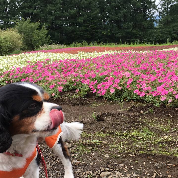 Ba4f97b3 4f1a 42d2 85f6 56d9aa3ecf7f