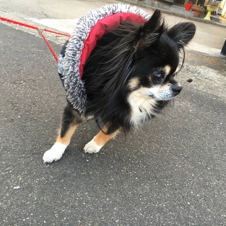 Ba501dc1 7111 4c78 90a0 fc2368392343