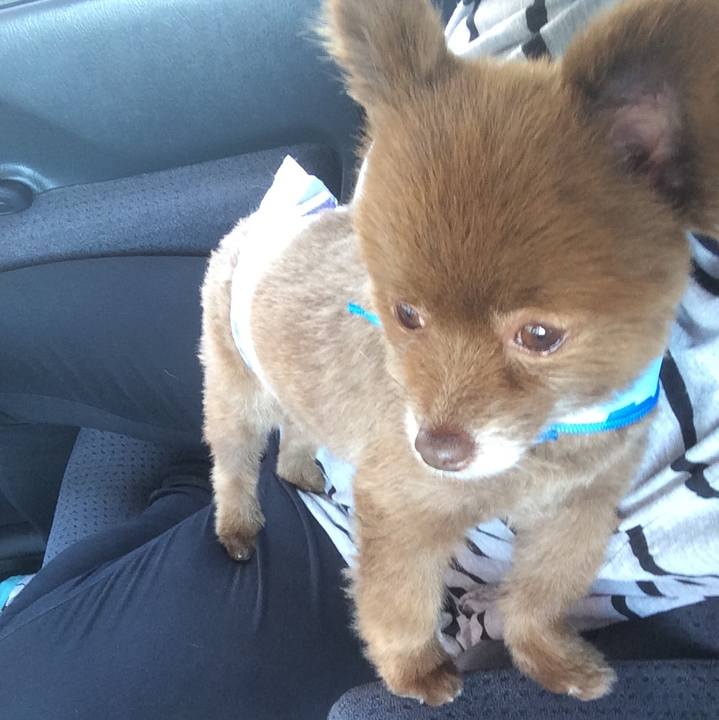 Ba502111 5b9a 4bbd b419 73fdb900ceb1