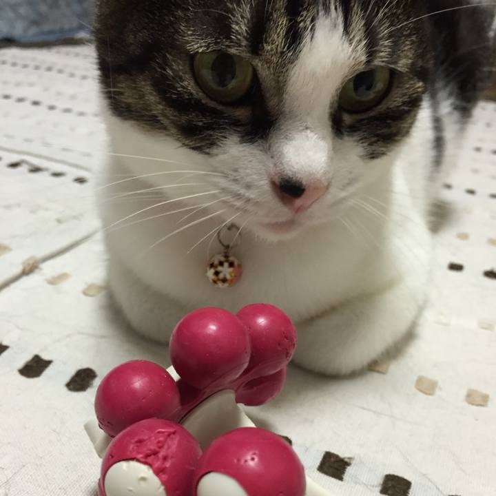 Ba503b8f 7002 46bf 90ce e8cb03c1b887