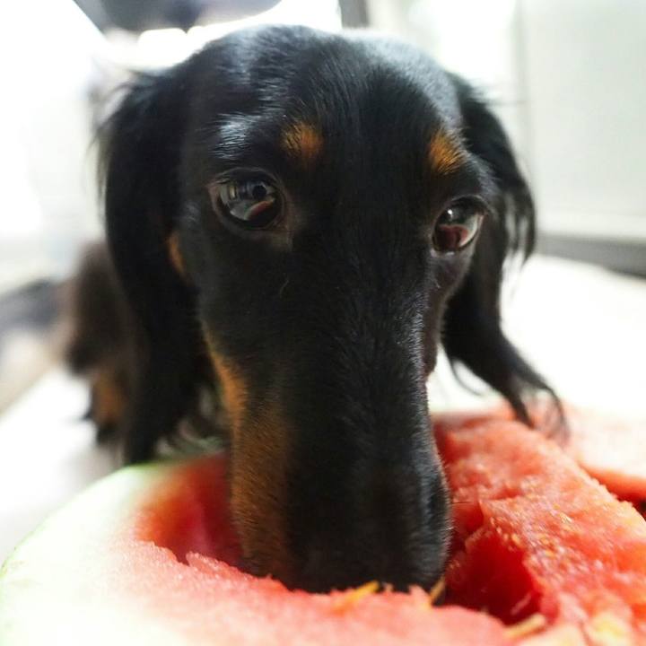 Ba509858 6e27 4977 a8f8 5539da829bbb