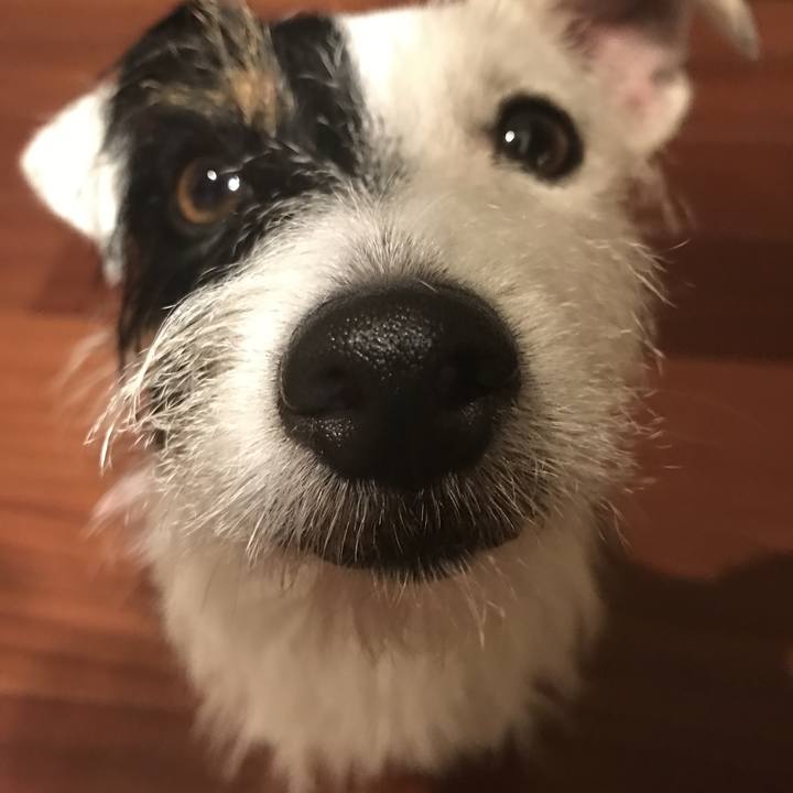 Ba50d2e2 794e 42ac b527 aa6ecfa4badc