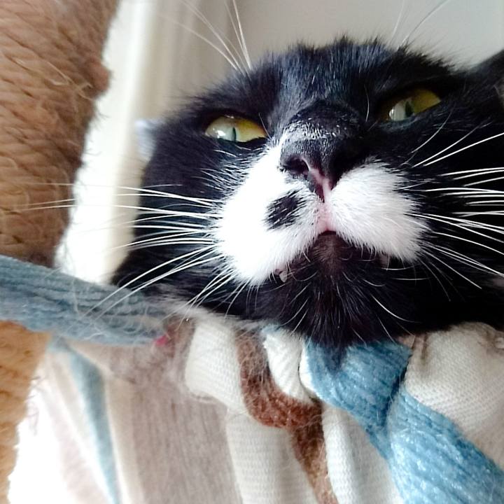 Ba513971 1ac0 4090 a68f 233a65ef4fdd